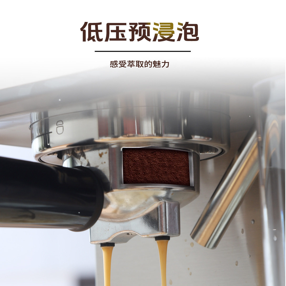 Stainless Steel Semi-Automatic Espresso Machine with Milk Tank Office Small Pump Pressure American Milk Coffee Machine Factory Cross-Border