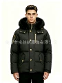 black(gold logo/black fur)