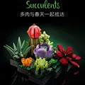 Light purple succulent plant