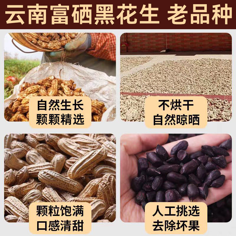 2025 New Black Peanuts in Shell Selenium-Rich Black Peanuts 2.5kg / 5kg Yunnan Pu'Er Specialty Black-Skinned Peanuts