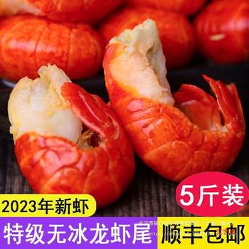 Ice-Free Lobster Tail Frozen Shrimp Line Commercial Crayfish Tail New Installation No Fresh Spicy Large Fresh Whole Box