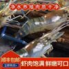 Fresh Frozen Large Prawns, Giant Prawns, Super Large Seafood, Aquatic Fresh Shrimp