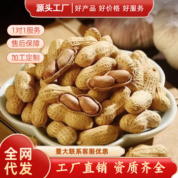 Peanut Cream Garlic Flavor Wine Vegetable Peanut with Shell Snack Bulk Nut Dried Fruit Scent Peanut