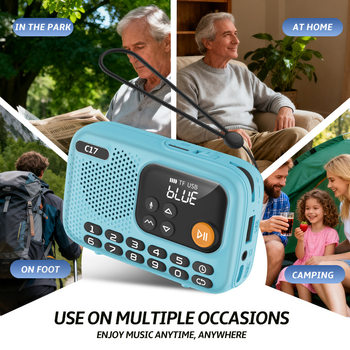 C17 Bluetooth Radio Mp3 Elderly Small Audio Card Plug-In Speaker Portable Music Player