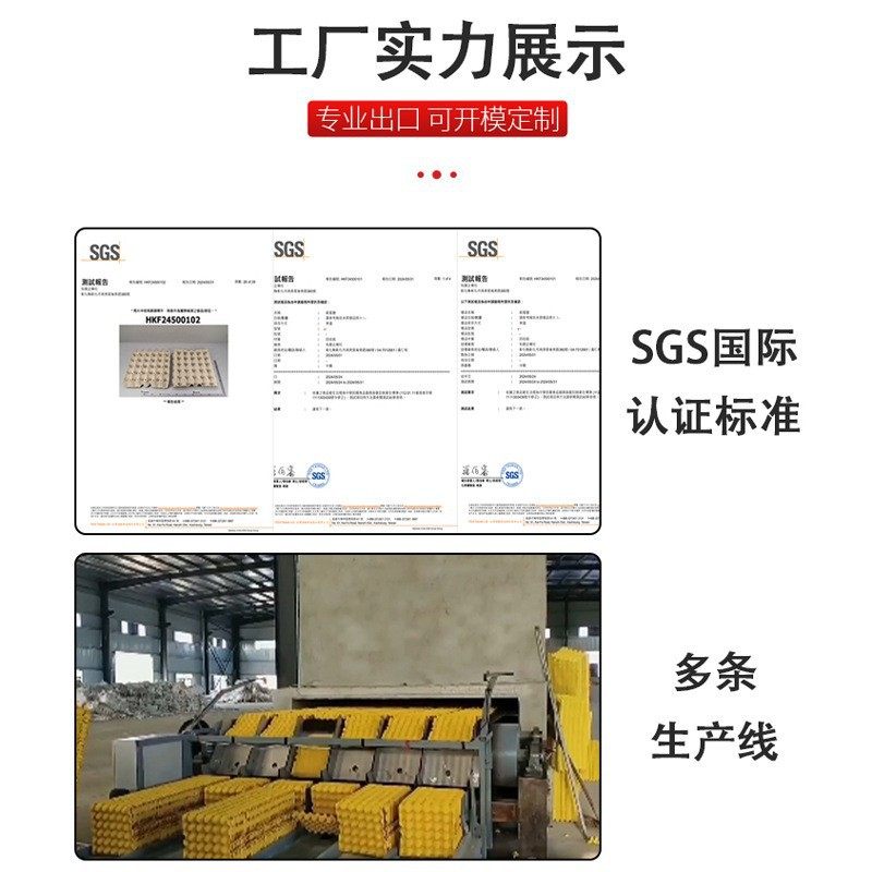 Egg Tray Molded Pulp Egg Tray 10/12 Pieces Environmentally Friendly Degradable Egg Tray Thickeneded Material Anti-Pressure and Bubble Wrap