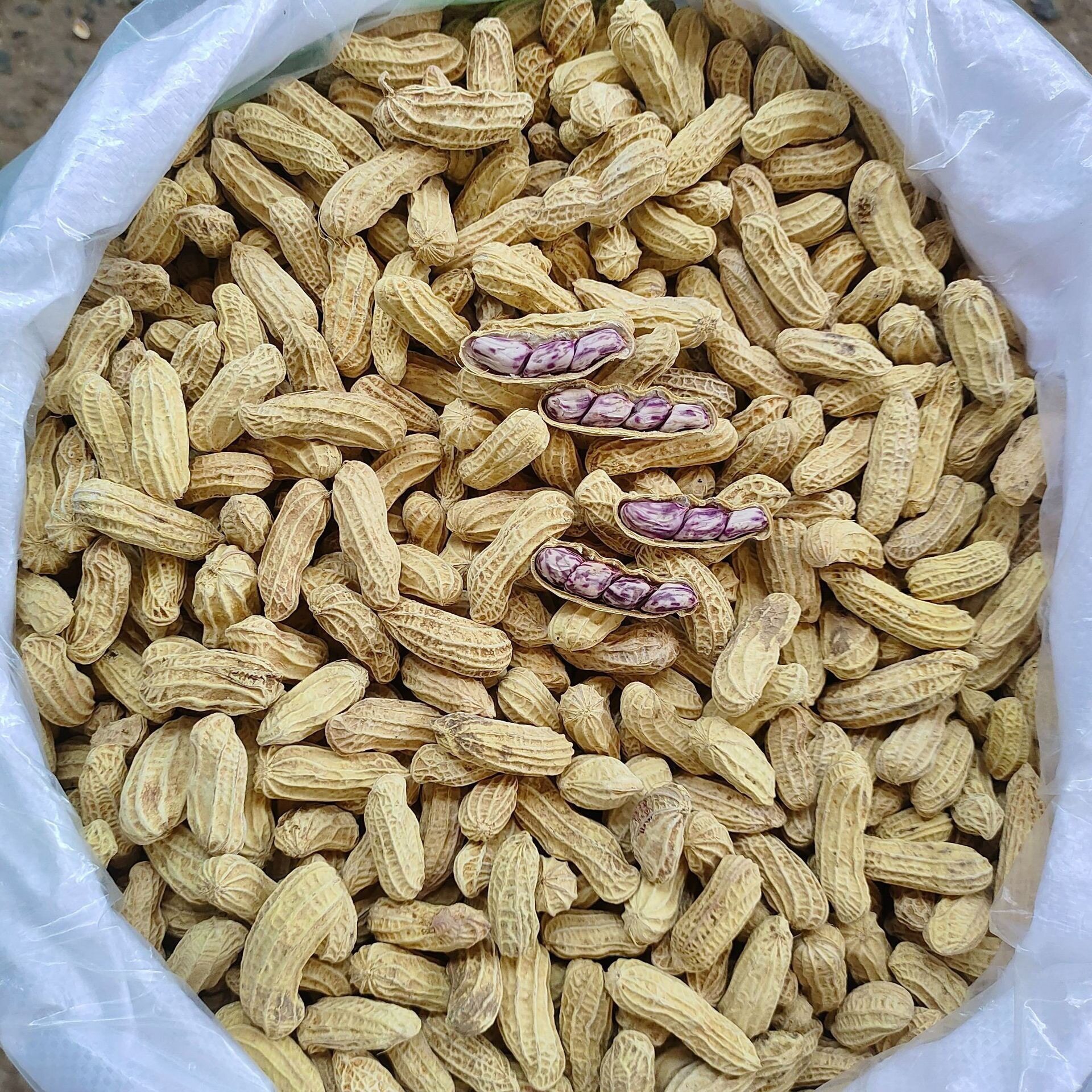 Yunnan Colorful Dried Peanuts 0.5kg Individually Packaged/ 5kg Bulk Wholesale Snacks Colorful Peanuts