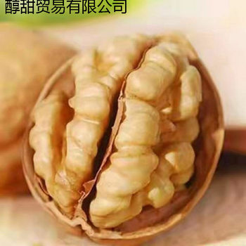Thin-Skinned Walnuts, Xinjiang Specialty Snacks, New Original Flavor Walnuts, Wholesale Factory, Wholesale Factory, One-Piece Wholesale Factory, Dropshipping