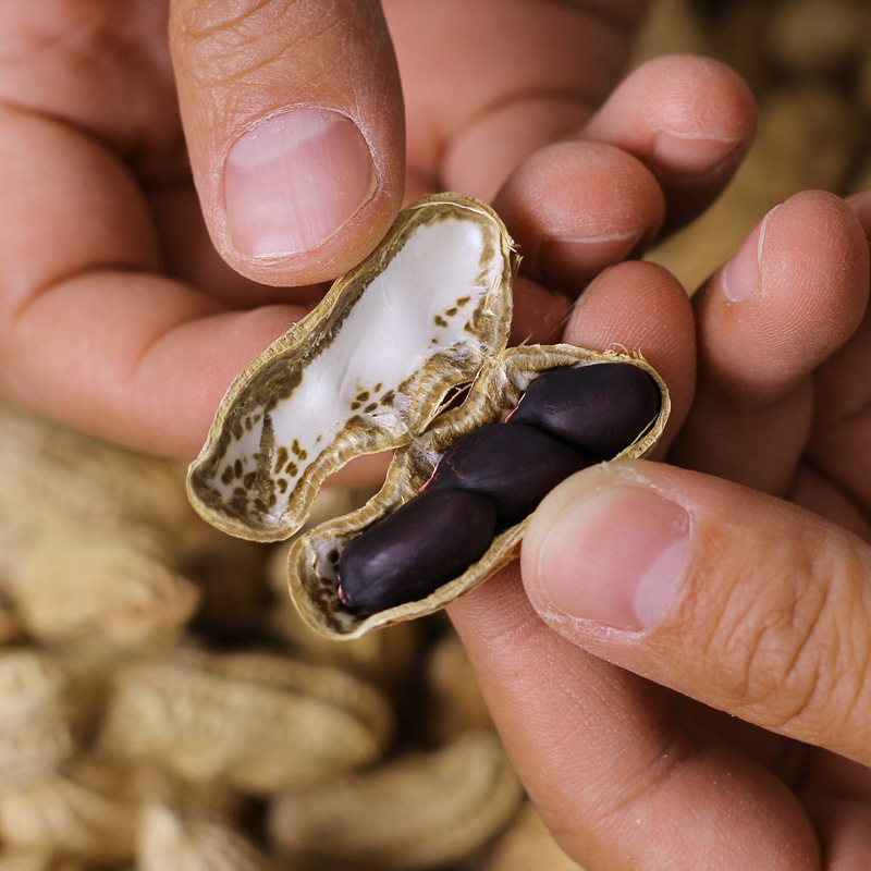 New Crop of 2024 Yunnan Black Peanuts with Shells 1.0kg Farm-Grown Black Peanuts, Small Black Peanuts Specialty