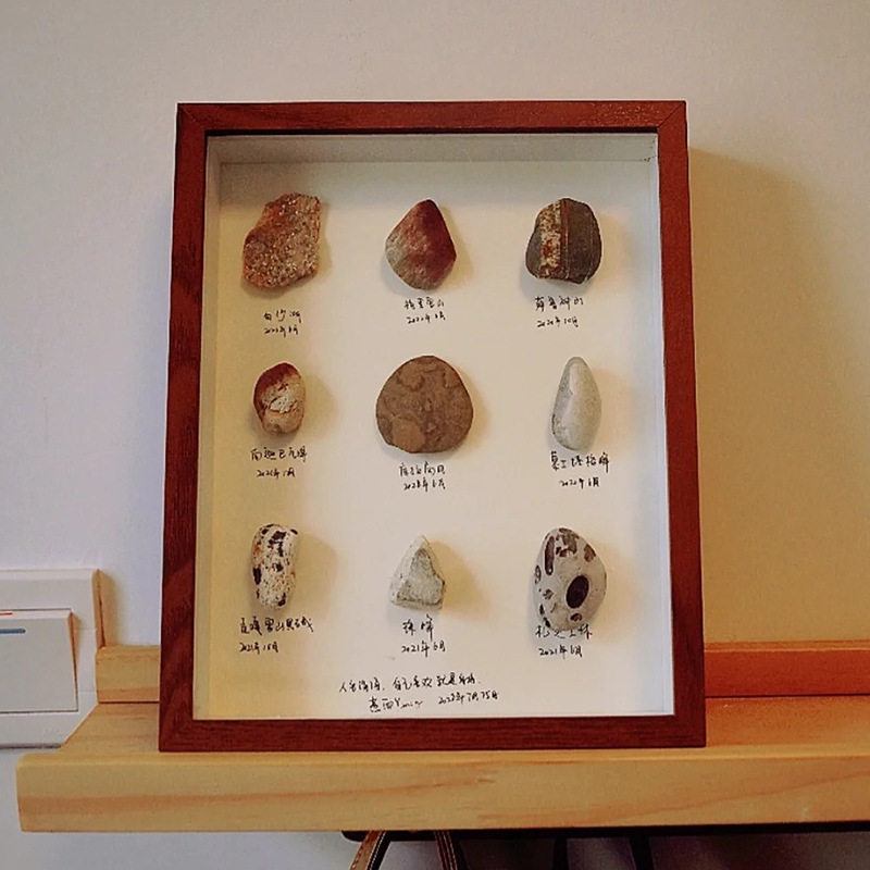 Handmade Stereo Photo Frame Stereo Hollow Specimen Frame Shell Stone Plant Dried Flower Collection Preservation Display Picture Frame