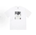 White 8009