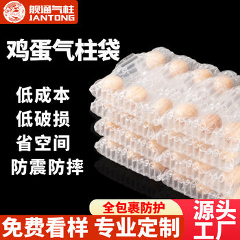 10-Pack Egg Packaging Air Column Bags for Express Delivery, Anti-Drop Transportation Protection Bubble Bags, Inflatable Egg Trays, Duck Egg Bags