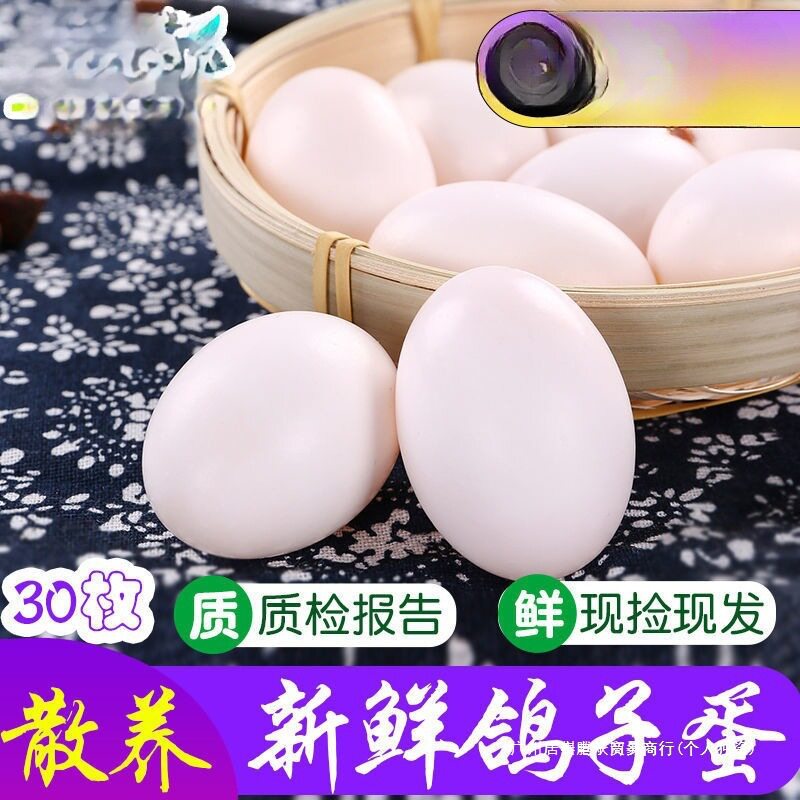 Pigeon Eggs, 15-60 Free-Range Pigeon Eggs Gift Box for Pregnant Women, Farm Fresh Large High-Quality 60 Eggs for Consumption