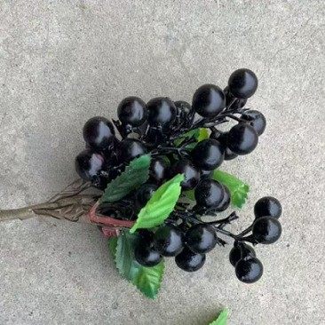 仿真蓝莓果 单支澳洲浆果4色家具装饰果浆 餐桌果盘装饰假花果子