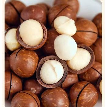 New Arrival Macadamia Nuts with Creamy Flavor, Original Flavor, Snacks for the Elderly and Children, Nuts for Gifting, Wholesale in Bags, Factory Direct Wholesale