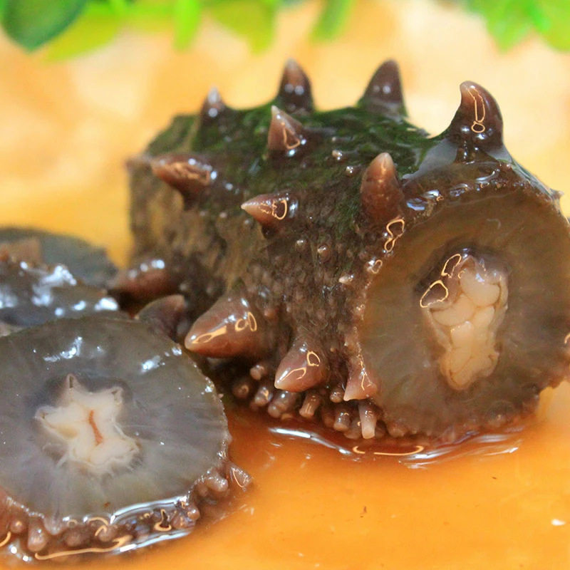 Fushi Trading Seafood Wholesale Dalian Ready-To-Eat Sea Cucumber 500g Liao Cucumber Sea Cucumber Sea Cucumber Seafood Aquatic Products Dry Goods