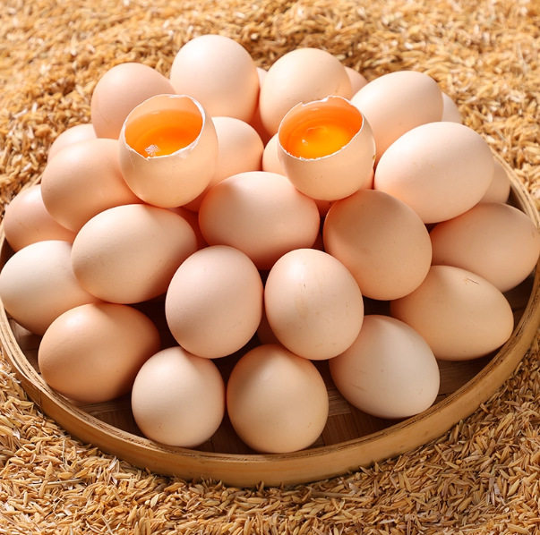Authentic Free-Range Farm Eggs, Fresh Mixed Grain Eggs with Cordyceps, Nutritious Confinement Eggs, Free-Range Eggs