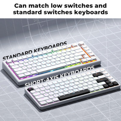 Xvx Low Shaft Height Pbt Material Engraved Translucent Characters/Transparent Keycap 127 Keys Small Full Set Cross-Border Europe