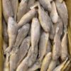 Frozen Yellow Croaker from the East China Sea, Small Yellow Croaker, Single-Frozen, Whole Box, Net Weight 6kg Grams, Defrosted 4kg Grams, for Barbecue, Commercial Wholesale