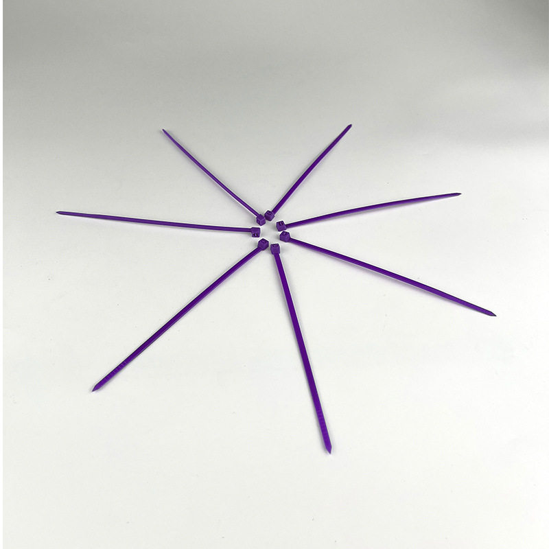 Purple Nylon Cable Ties Colorfuled Plastic Cable Ties 3*100 4*150 4×200 5×300 Straps