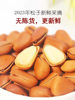 2024 New Northeast Open Red Pine Nuts Bulk Non-Extra Large Particles Small Package Original Wild Nuts