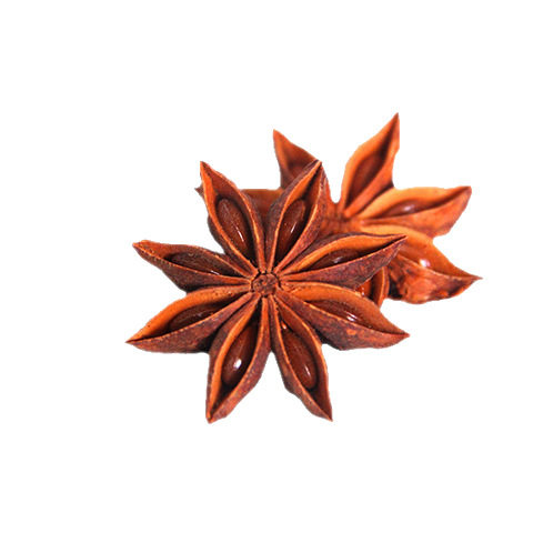 Guangxi High-Quality Star Anise Spices, Aniseed Spices, Seasonings, Fennel, Dry, Origin Seasonings, Direct Delivery, Available for Wholesale