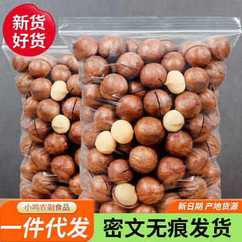 Macadamia Nuts New Arrival Large Particle Cream 500g New Year Dried Fruit Snacks Wholesale Hawaii