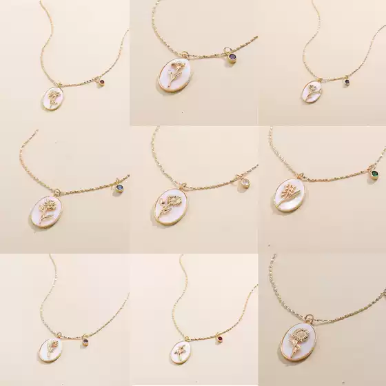 Stainless Steel Mother-Of-Pearl December Flower Oval Pendant Necklace Shell Clavicle Chain European and American Cross-Border Products