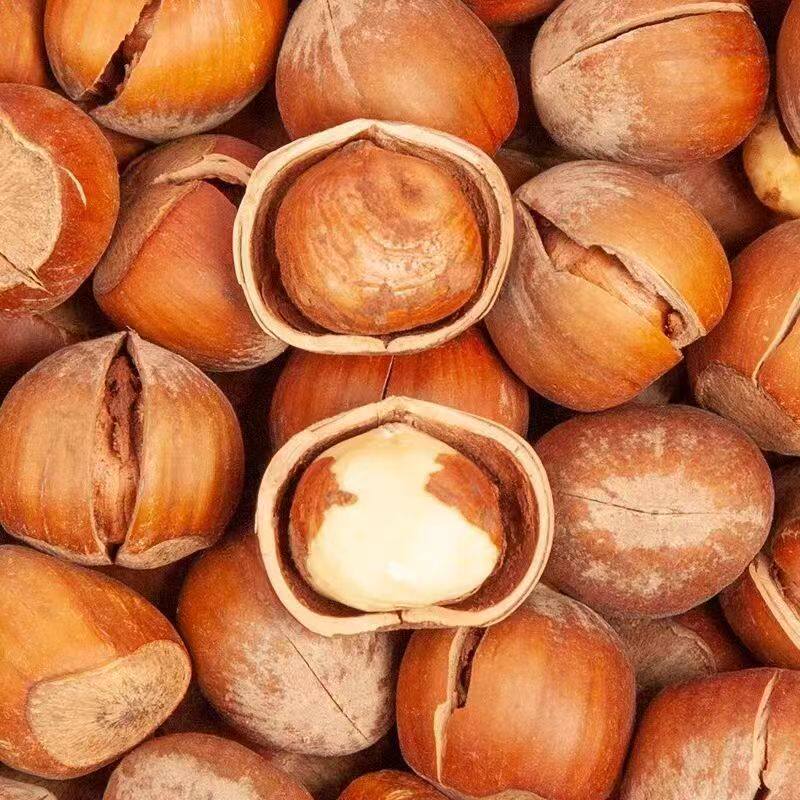 Wholesale of 25 New Hazelnuts from Northeast China, Raw or Roasted, Fresh Nuts, Roasted Goods, New Year's Goods