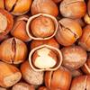 Wholesale of 25 New Hazelnuts from Northeast China, Raw or Roasted, Fresh Nuts, Roasted Goods, New Year's Goods