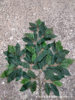 Simulation Chestnut Leaf False Chestnut Tree Leaf Gardenia Tree Leaf Gardenia Tree Leaf Engineering Landscape Fake Flower Material