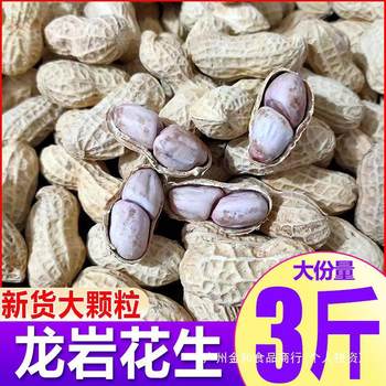 Fujian Longyan Peanuts with Shells, Garlic-Flavored, Salty, Dried, Five-Spice, Original Flavor, Salted, Sun-Dried, Boiled Peanuts, Cooked Snacks