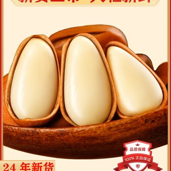 2024 New Arrival Red Pine Nuts Large Particles Extra Fresh Nuts Hand Peeled Pine Nuts