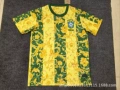 2526 brazilian flower butterfly