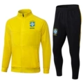 2425 brazilian yellow jacket