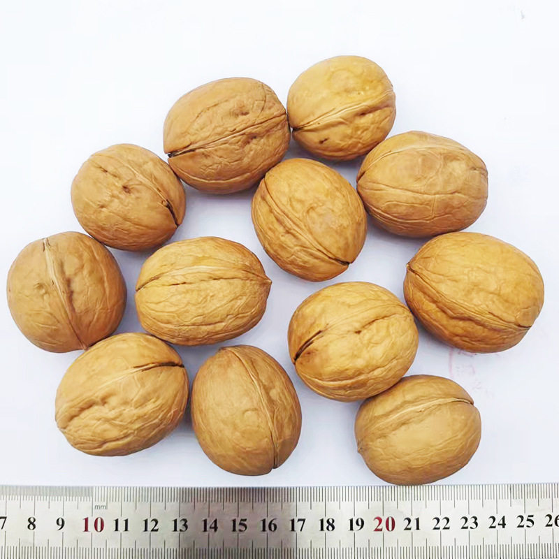 Walnut Wholesale Xinjiang Thin-Skinned Large Walnuts New Two Can Be Exported as Snacks Nuts Roasted Seeds Baking Ingredients Walnuts