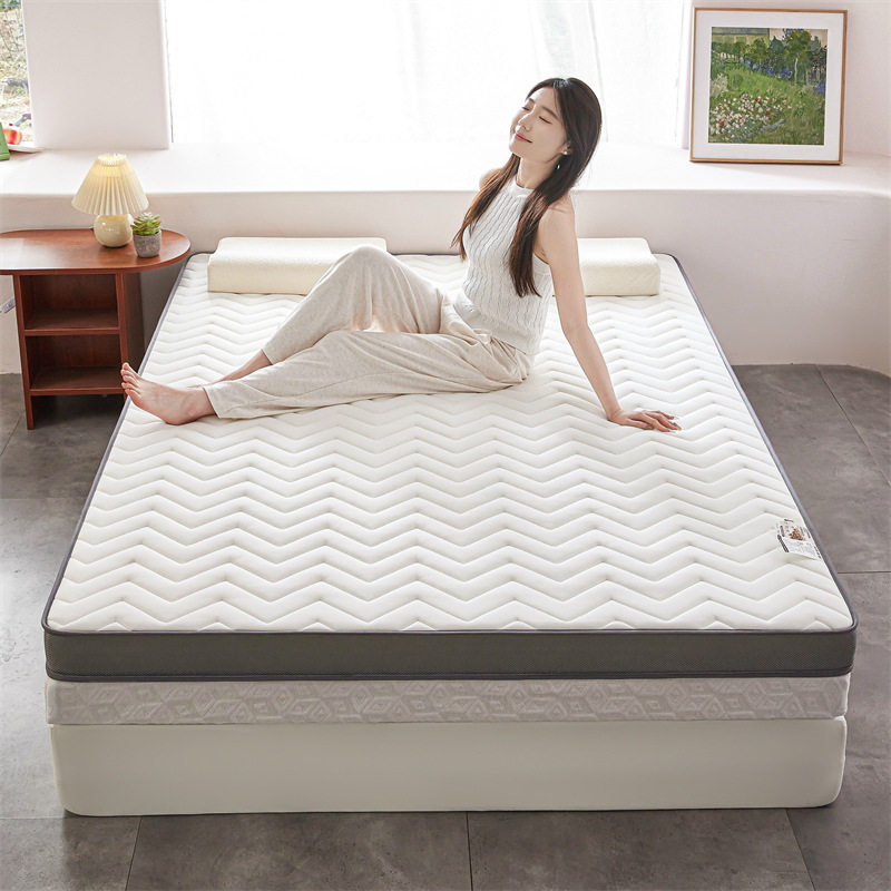 New Type a Soy Fiber Anti-Pressure Thickeneded Student Mattress Dormitory Mat Upper and Lower Bunk Mats Home Soft Cushion Bedding