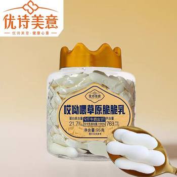 Xinjiang Grassland Roasted Yogurt 95g Kidsren's Snack Dairy Products Roasted Milk Flakes Milk Skin Snack Food Ingredients Clean