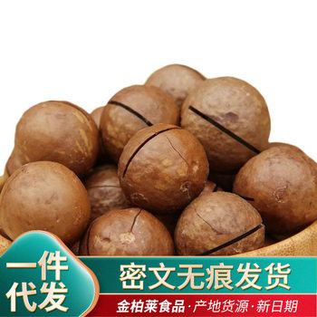Wholesale Macadamia Nuts with Butter Flavor 500g, Thin-Skinned Large Nuts, New Year Snack