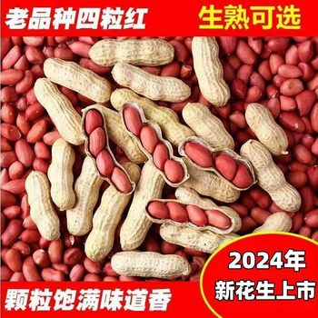 New Authentic Northeastern Four Red Peanuts with Red Skin and Shell, Farm-Produced Red-Skinned Peanuts, Original Flavor Fried Peanuts