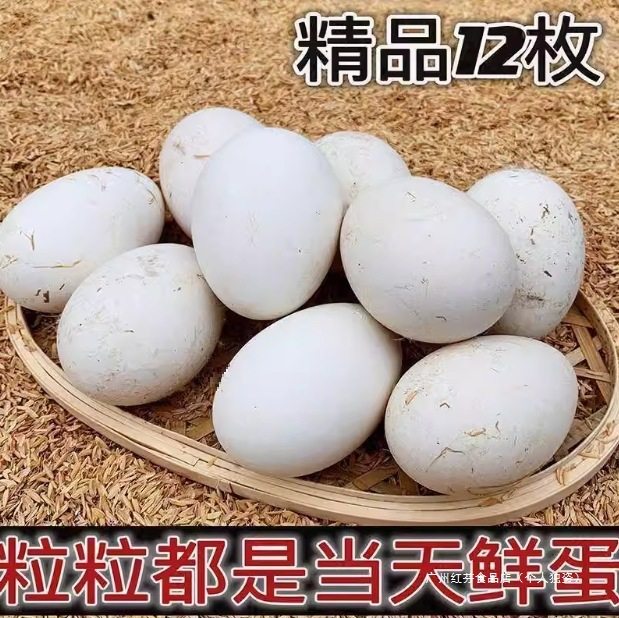 Free-Range Goose Eggs Are Large and Popular, Suitable for Pregnant Women, Fresh and Naturally Raised