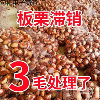 Fresh Dandong Chestnuts, Fresh Chestnuts, Tender Large Chestnuts, Chestnuts, Qianxi Chestnuts, Oil Cone Chestnuts