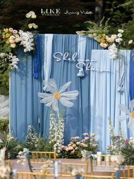 Blue Milk Silk Stretch Fabric Wedding Curtain Curtain Arch Hotel Stage Korean Ceiling Curtain Decorative Gauze Curtain