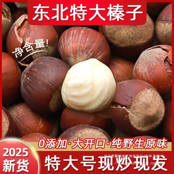 2024 New Northeast Extra-Large Hazelnut Original Flavor Tie Ling Wild Open-Shell Dried Fruit Sticks Nut Snacks Specialty