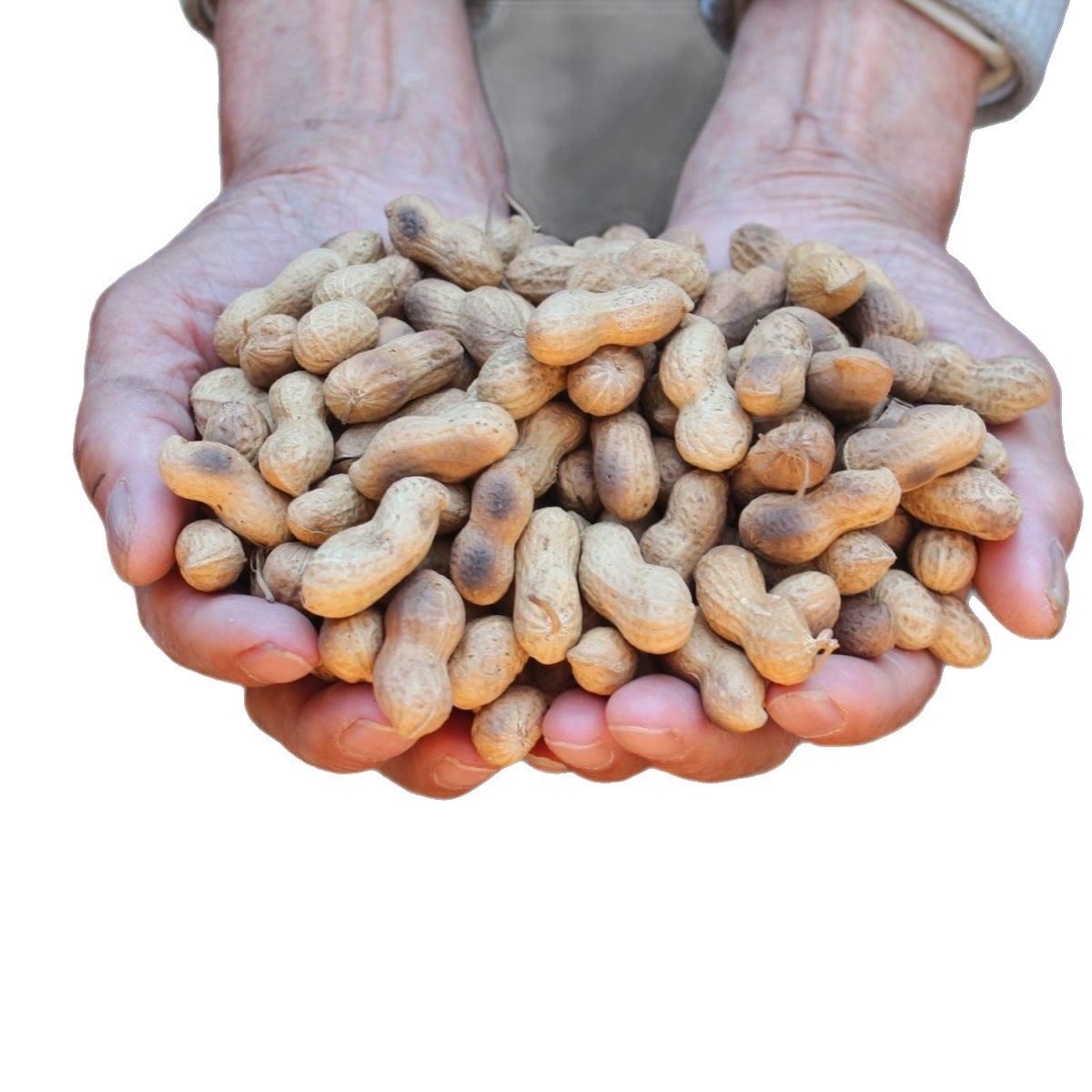 Firewood Fried Peanuts Original Farmhouse Crispy Shelled Fried Peanuts Crispy Peanuts Farm Iron Pot Cooked Peanuts Snacks Wholesale