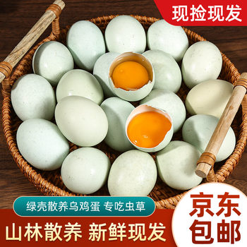 Farm-Raised Fresh Local Eggs as Gifts, Freshly Picked Farm Eggs, Green Shell Eggs, Grain-Fed Natural Black Eggs