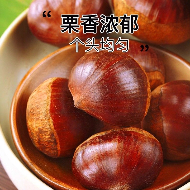 2025 Fresh Raw Chestnuts from Dandong, Seasonal Raw Chestnuts, Fresh Chestnuts, Newly Picked Tender Wild Chestnuts, Large Chestnut Kernels