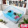 Square Turtle Tank Ecological Landscaping Fish Box Medium-Sized Turtle Basin Household Aquatic and Terrestrial Turtle Villa Turtle Climbing Pet Box