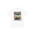 10 white
