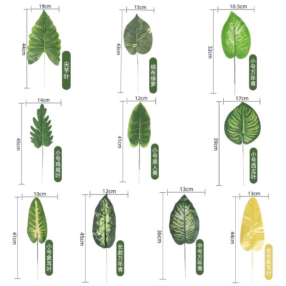 仿真人造植物叶子 单片绿叶春雨叶美人蕉 北欧家居风插花装饰配材