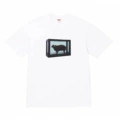 E2041 white